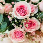 blush-romance-bouquet-2026_04