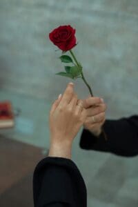 wo hands reach towards each other, one holding a single red rose.