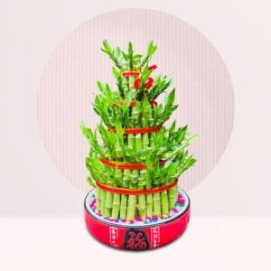 Enhance your space with our Fortune Bamboo Tower, symbolizing success and harmony. Tiered bamboo stalks with red ribbons in a bold red pot make it perfect for gifting or boosting Feng Shui.