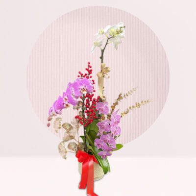 buy orchid floral arrangement online