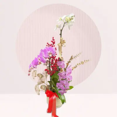 buy orchid floral arrangement online