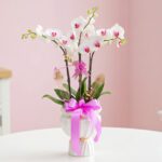A white vase adorned with a pink ribbon, holding delicate orchids.