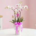 A white vase adorned with a pink ribbon, holding delicate orchids.
