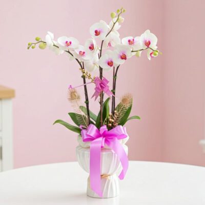 A white vase adorned with a pink ribbon, holding delicate orchids.