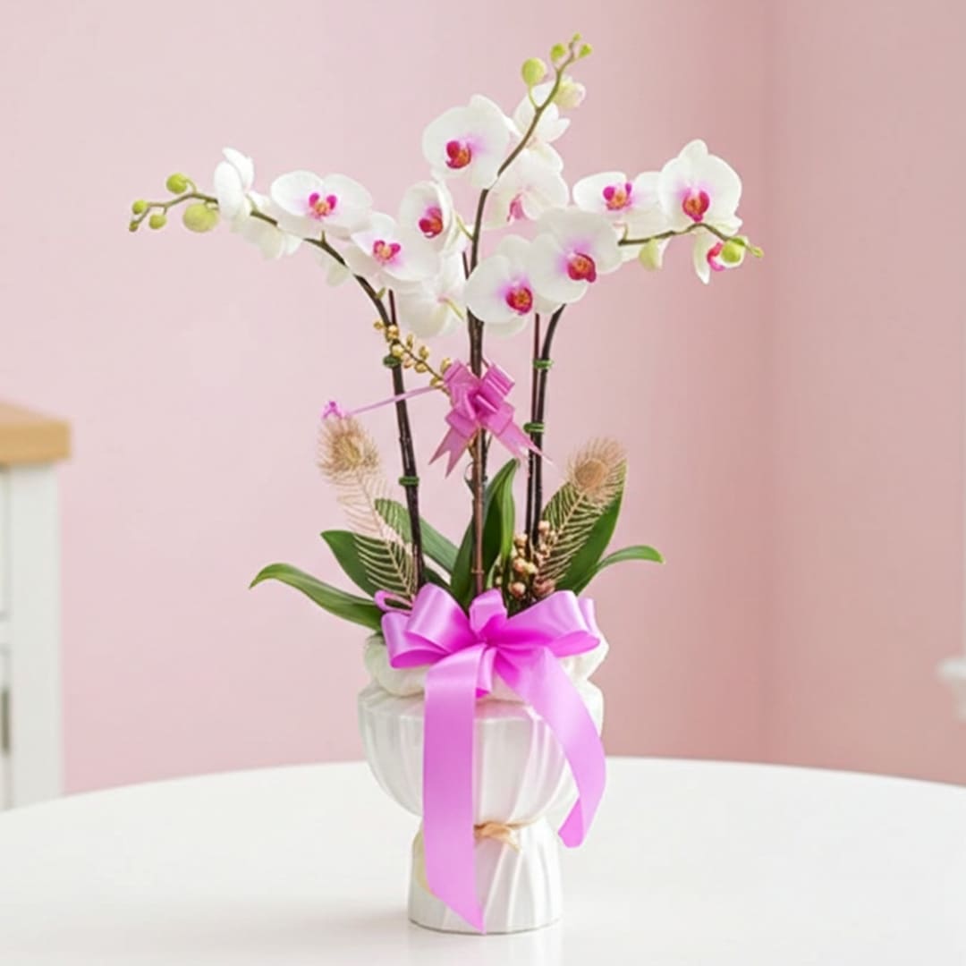 Blushing Orchid Delight-01 A white vase adorned with a pink ribbon, holding delicate orchids.