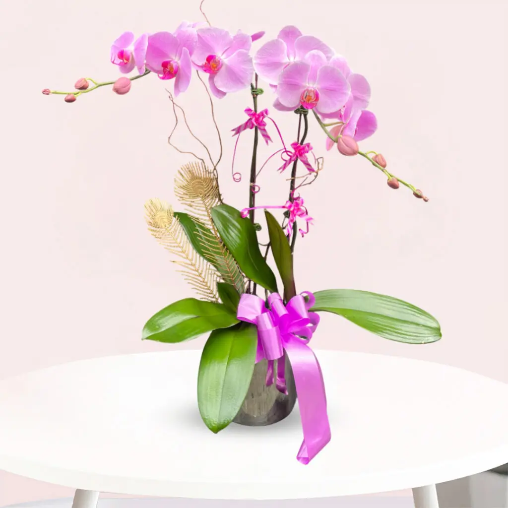 buy orchid flower arrangement online