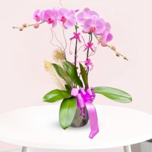 buy orchid flower arrangement online