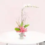 A vase filled with white orchid and pink flowers sits elegantly on a wooden table.