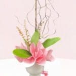 Timeless Phalaenopsis-03-08-25