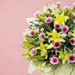 golden-bloom-stand-25-01