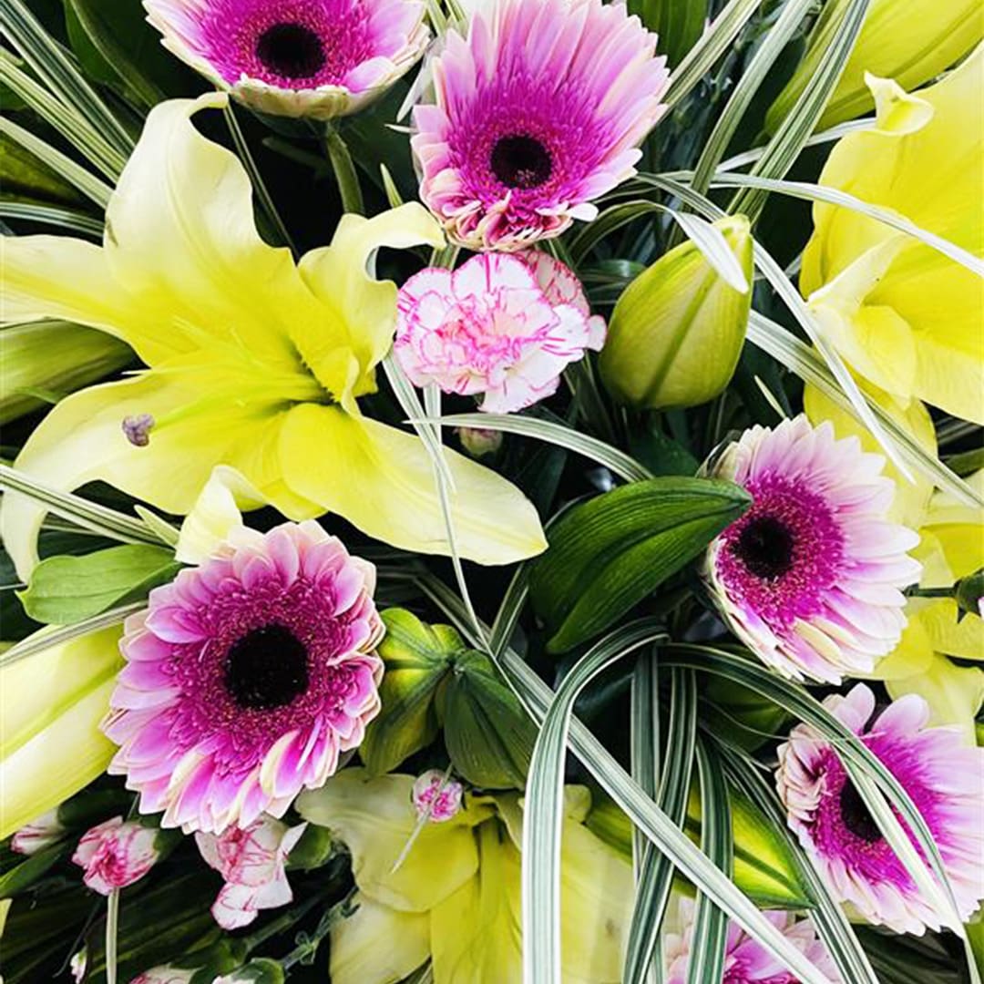 golden-bloom-stand-25-03