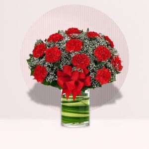 Express warmth and affection with a bouquet of 12 red carnations in a chic cylinder vase accompanied by a thoughtful message card.