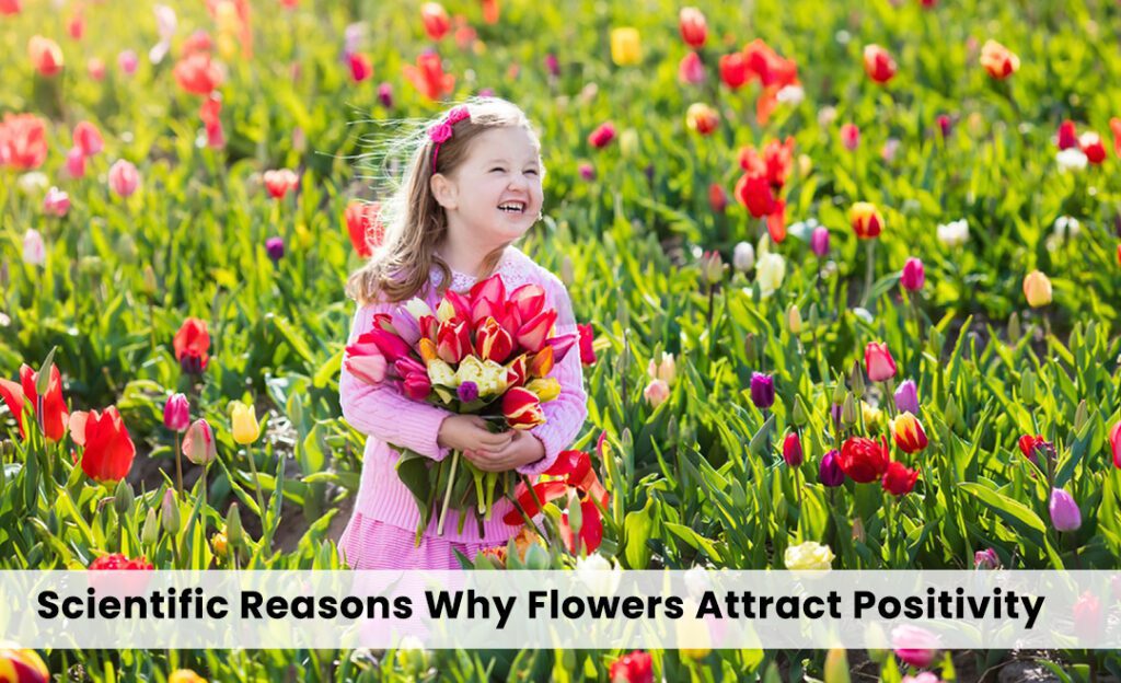 Fresh flowers in sunlight, boosting mood and positivity through color and scent.