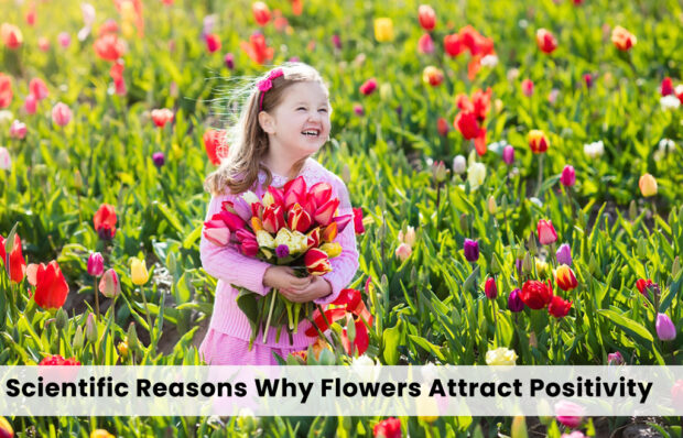Fresh flowers in sunlight, boosting mood and positivity through color and scent.