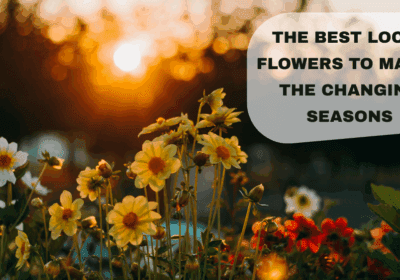 A vibrant arrangement of seasonal local flowers, showcasing blooms that change with the seasons, from spring pastels to rich autumn hues.