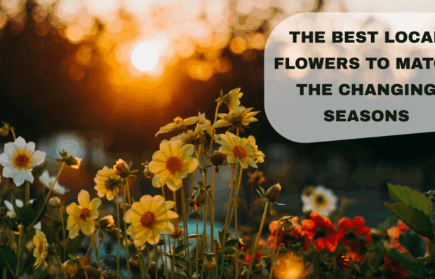 A vibrant arrangement of seasonal local flowers, showcasing blooms that change with the seasons, from spring pastels to rich autumn hues.
