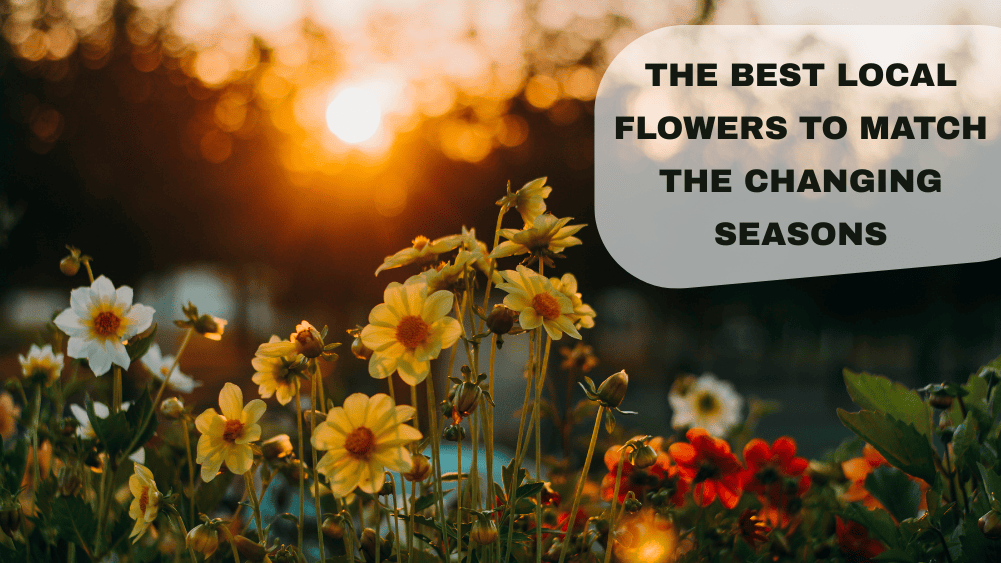 A vibrant arrangement of seasonal local flowers, showcasing blooms that change with the seasons, from spring pastels to rich autumn hues.