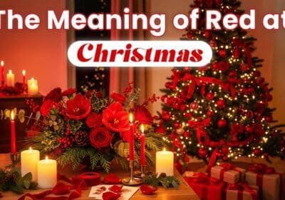 Red Christmas elements symbolizing joy, warmth, love, and traditional holiday celebrations