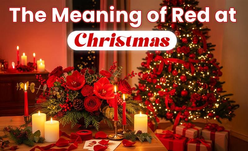 Red Christmas elements symbolizing joy, warmth, love, and traditional holiday celebrations