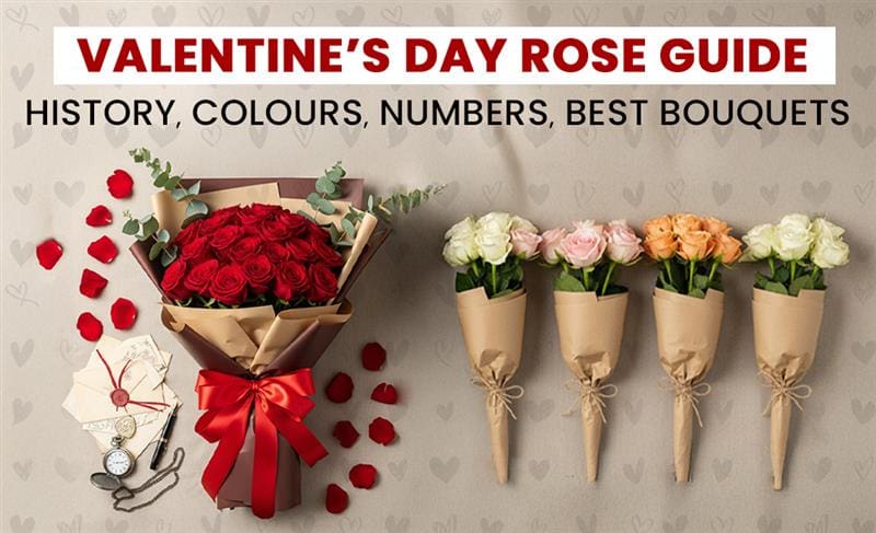 Valentine’s Day rose guide explaining rose history, colors, number meanings, and best bouquet choices.