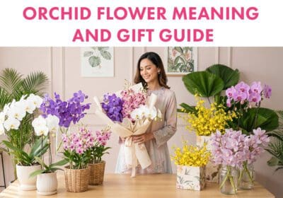 Elegant orchid flower gift arrangement in Malaysia featuring fresh white and purple orchids, symbolising luxury, admiration, and lasting love for birthdays, anniversaries, and special occasions