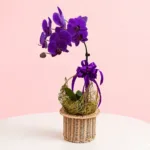 Royal Orchid Bloom Basket featuring orchid blooms arranged in a decorative basket for elegant gifting and décor