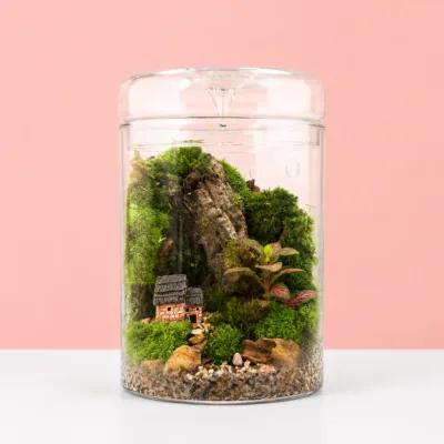 Cottage Highlands Glass Jar Terrarium featuring a miniature cottage, stone cliff, and natural landscape arranged inside a decorative glass jar.