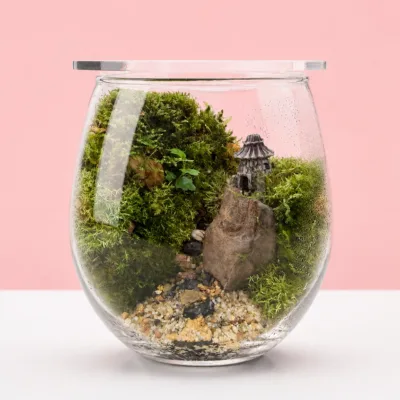 Zen Forest Glass Bowl Terrarium featuring lush green moss, natural stones, and a miniature forest-inspired landscape arranged inside a decorative glass bowl.