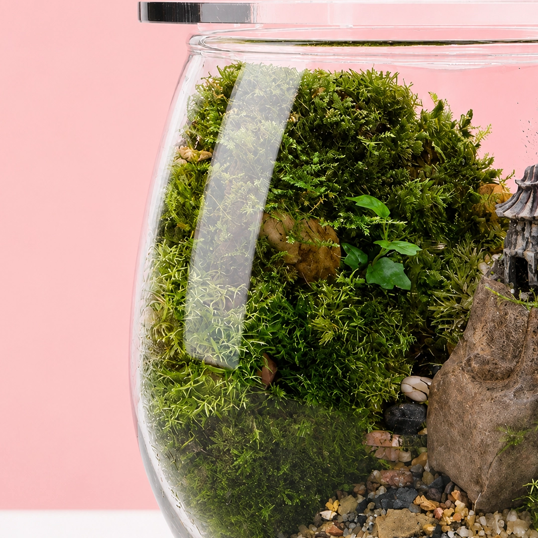 zen-forest-glass-bowl-terrarium_02