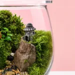 zen-forest-glass-bowl-terrarium_03
