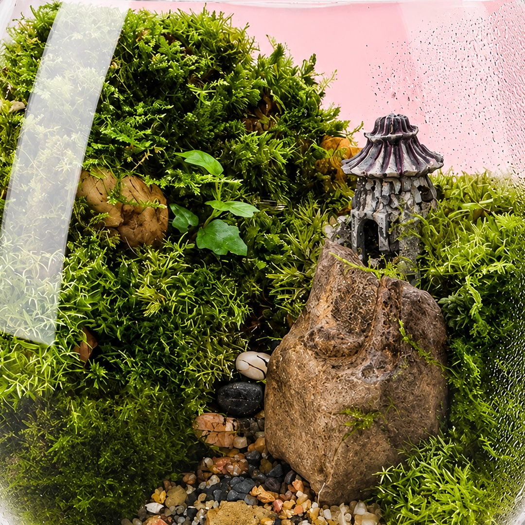 zen-forest-glass-bowl-terrarium_04
