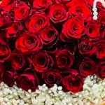 83-red-roses-love-bouquet_04