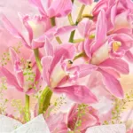 pink-cymbidium-orchid-bouquet_04