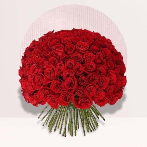 Red Rose Meaning in Life & Love — Not Just Romance