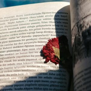 A pressed, small, bright red flower with a delicate stem and a few small, dried leaves is placed on the left-hand page of an open book.